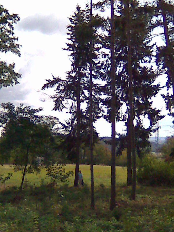 Obraz0199.jpg